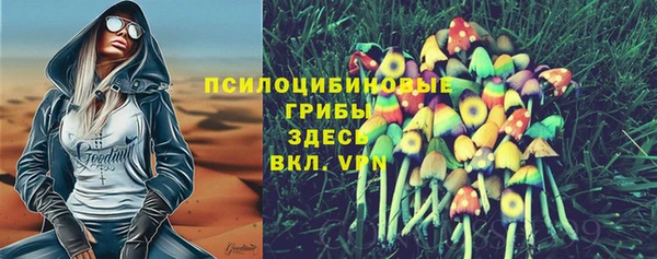 гидропоника Алзамай
