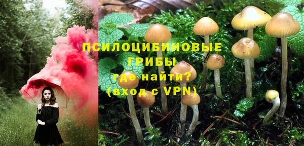прущий лед Алексеевка