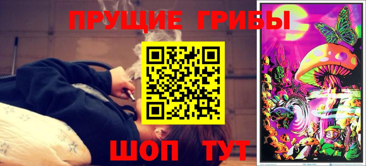 Галлюциногенные грибы Psilocybe  Вход с VPN  купить наркотик  Люберцы 