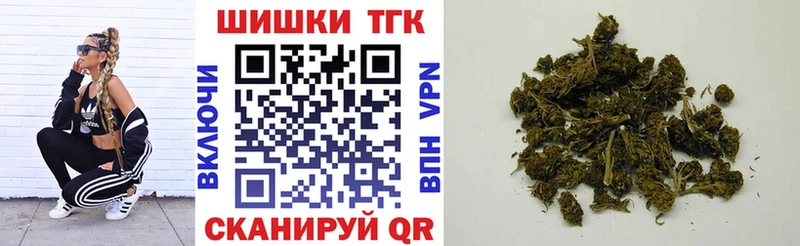Конопля сатива  мориарти телеграм  Люберцы  omg сайт 